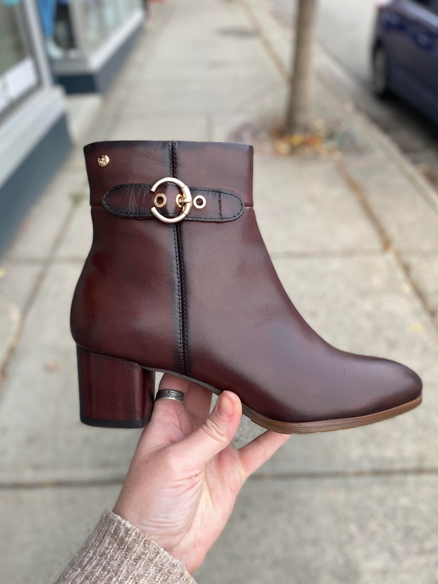 Pikolinos Calafat Caoba – Walk Rite Shoes - Main Image