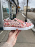 Dragon Fly - EG 17 - Mauve