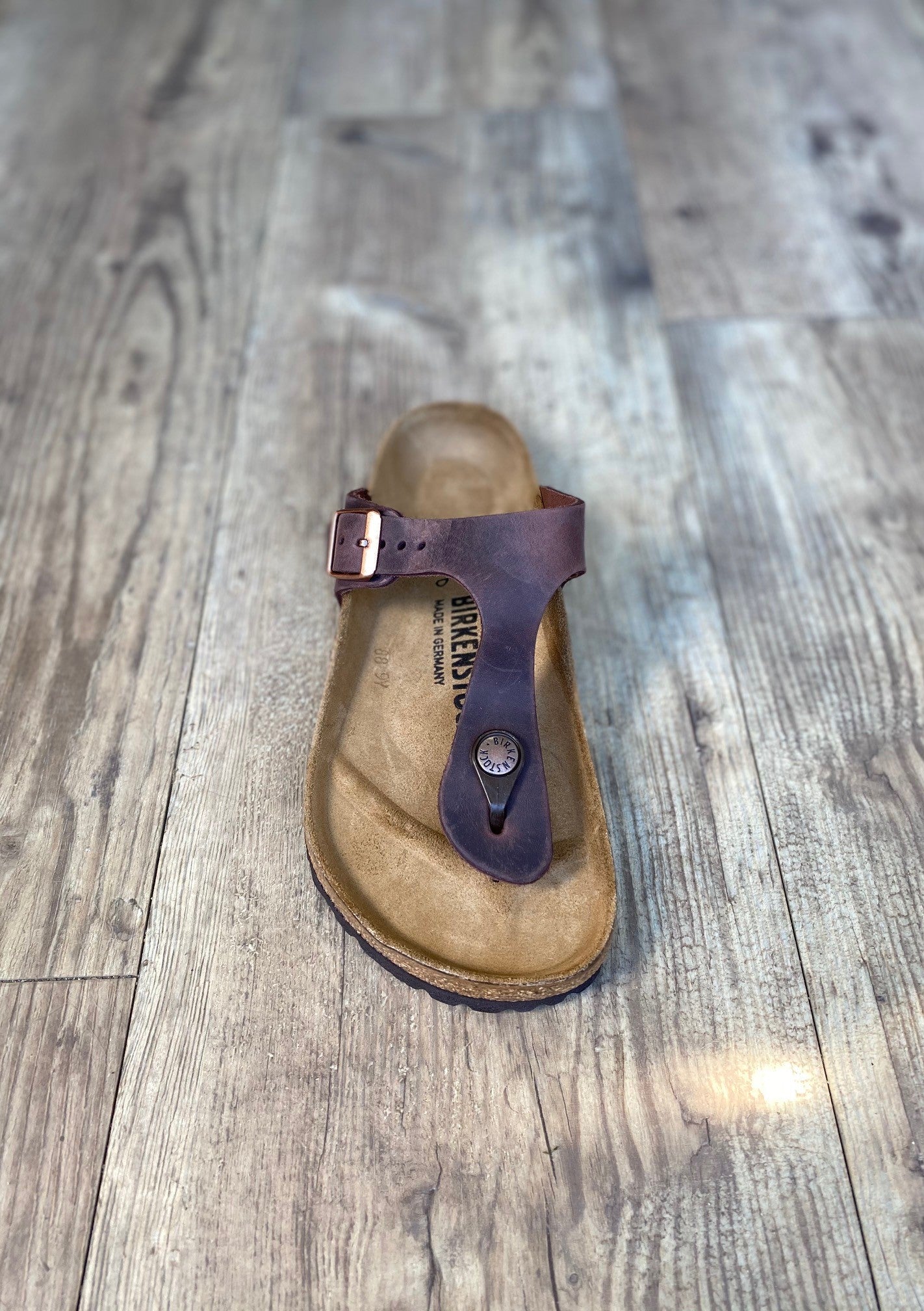 NIB Birkenstock Gizeh Oiled Leather In Habana 7953062 Birkenstock - Gizeh - Habana Oiled Leather – Walk Rite Shoes main image 3